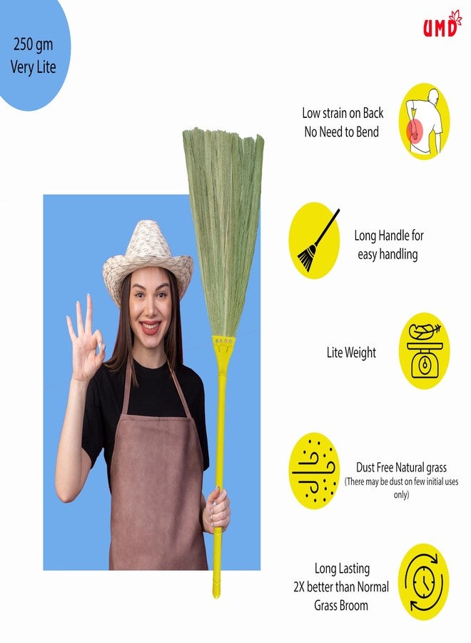 UMD 4D No Backpain Natural Grass Broom with Back Pain Prevention Design, 250g Lightweight, 4ft Long Handle with Wide Head, Covers More Area in one Sweep, Floor Cleaning jadu (1) - Image 3